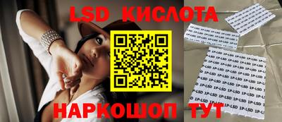 a pvp Камышлов