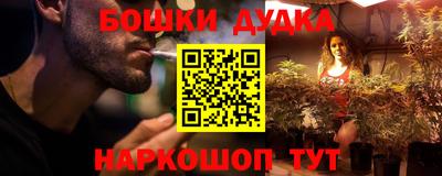 a pvp Камышлов