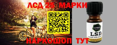 a pvp Камышлов