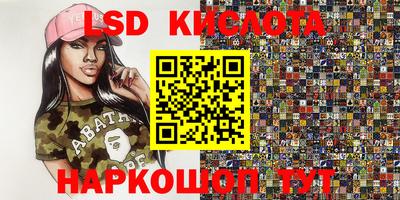 a pvp Камышлов